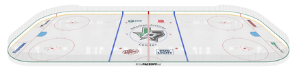 _Full Rink 3D.png