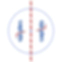 Washington Capitals 1984 Playoffs Center Ice and Rink Layout | TheFaceoff.net