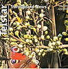 cover-telstar397.jpg