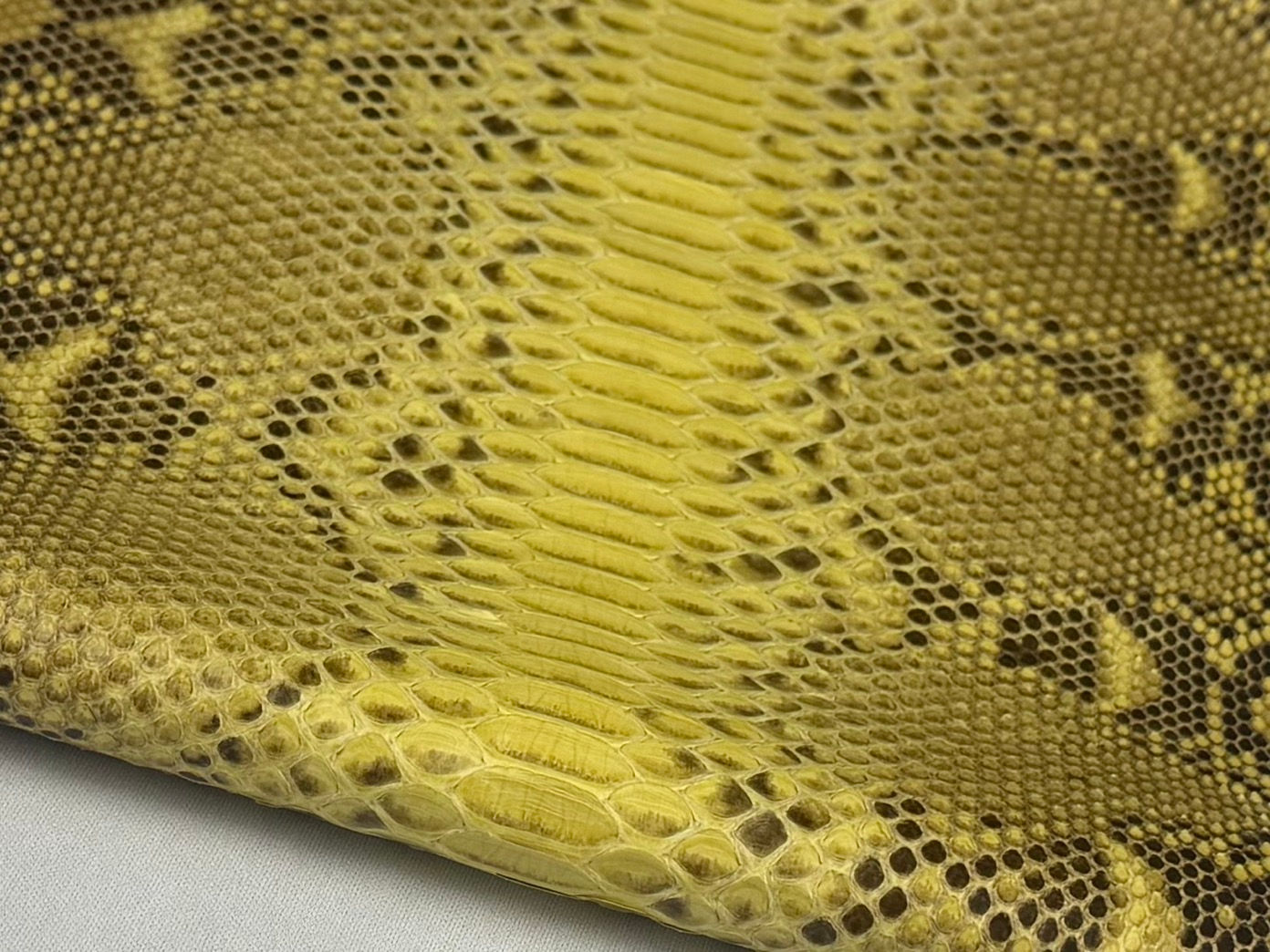 Yellow Matte BW