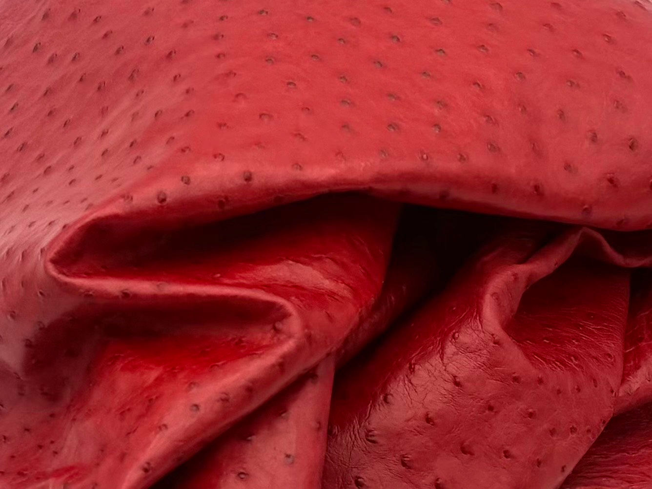 Kopp Red CC