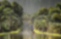 Contact-Us-(2).jpg
