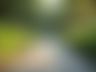 Understanding Tax-Advantaged Wealth Preservation Options