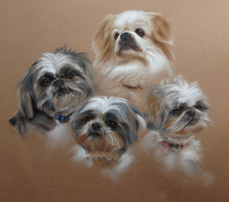 Dogs