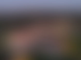 與自然和諧共存 São Lourenço do Barrocal