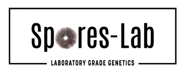SPORESLAB_New1125-removebg-preview.png
