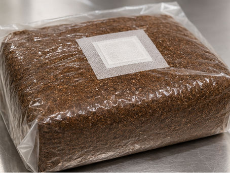 A close-up overhead shot of a freshly prepared and sterilized supplemented sawdust block inside a clear polypropylene bag