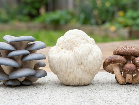 Mushroom Temperature & Substrate Guide: Oyster, Shiitake, Lion's Mane, and Psilocybe Species