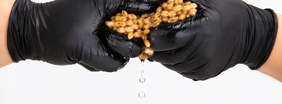 Everything you need to know about colonizing grain spawn — grain preparation, sterilization, inoculation, contamination monitoring, and shaking technique. The most critical stage in Psilocybe cubensis cultivation, explained in full.
