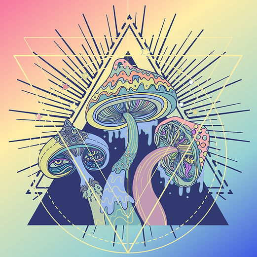 AdobeStock_497592702.jpeg