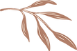 Fichier 40.png