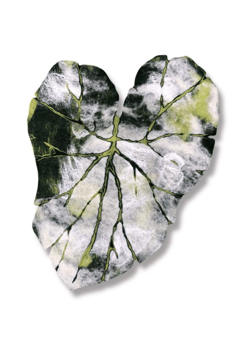 5 sept 15uur expo opening DRADEN VAN VERBEELDING