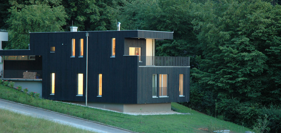 FLEOS_EGO_03 Kopie.jpg