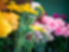 détours nature artisan fleuriste vagney.jpg