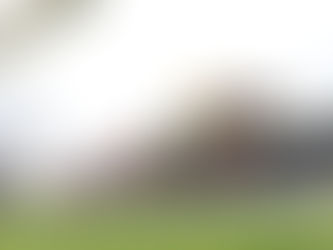 LADY LUCIFER BURNS THEM AT GRAFTON