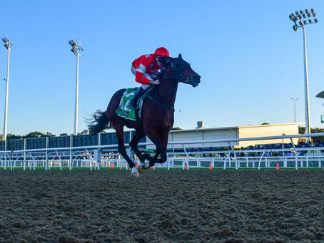 LUTON HOO STRIKES GOLD AT THE COAST