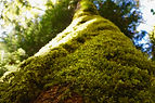 DSC00070.jpeg