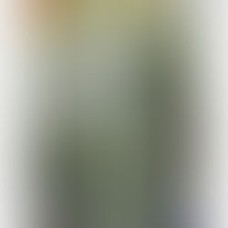 2024年受注受付分デザイン変更お詫び