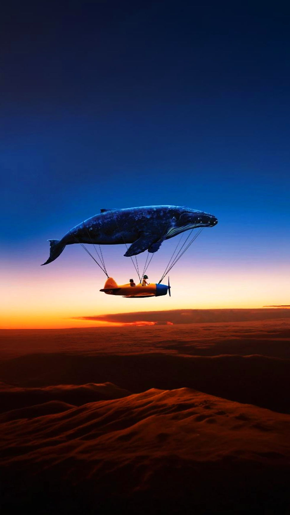 Երազանքից մինչև իրականություն՝ ՀԱՅԸ ԿԱ ծրագրերով