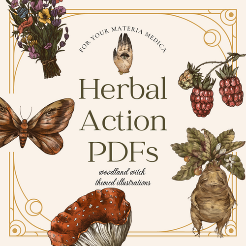 Herbal Action PDFs The Twig & Feather