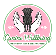 Where Body, Mind & Behaviour Meet3_edite