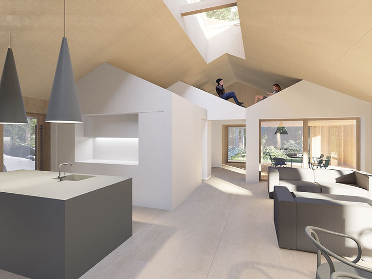 Skovhuset_hus i huset_d_l.jpg