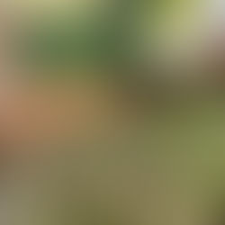 חוזרים לשורשים: עבודה עם חומרי גלם מקומיים מקרבת, ומחזקת את הקהילה