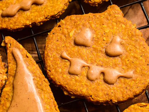 HEALTHY PUMPKIN HALLOWEEN DOG COOKIES