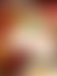 2025 CHRISTMAS COOKIE BOX