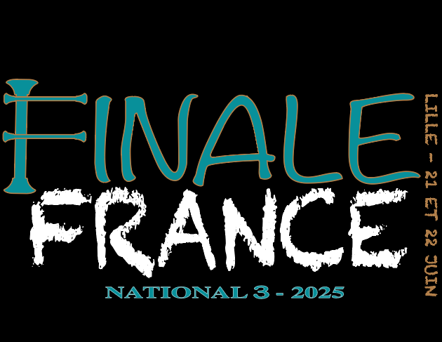 Miniature : TEE SHIRT FINALE FRANCE 2025 N3