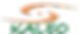Kaleo Logo_2025.png