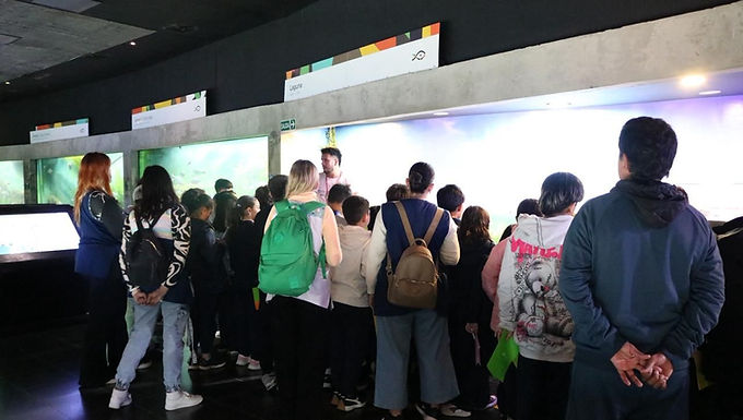 El Acuario del Río Paraná, uno de los imperdibles de Rosario, tuvo un 2025 con crecimiento de visitantes

