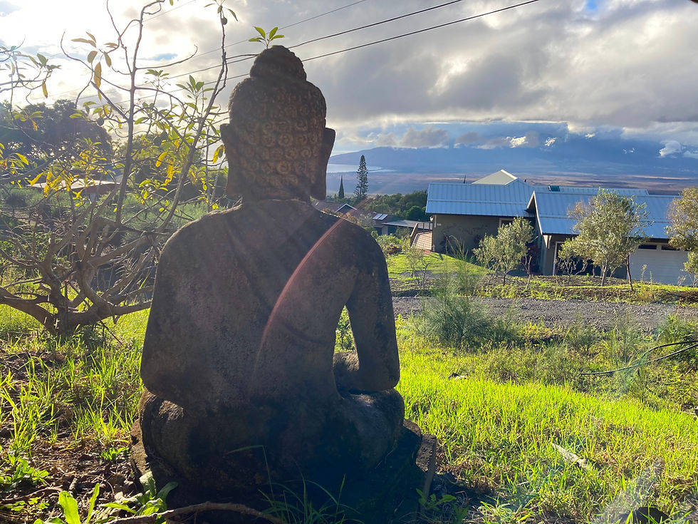 buddha - kula, maui