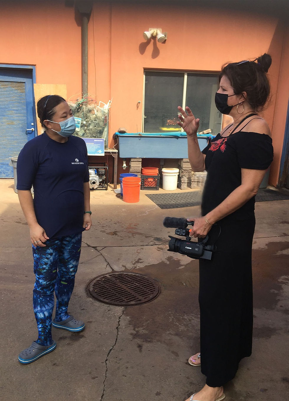 Prepping for interview - Maui