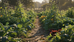 Seasonal Garden Tips Flinders: Effective Garden Care Strategies for Flinders
