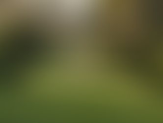 Achieve a Perfect Lawn on Mornington Peninsula with Professional Lawn Mowing