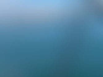 Boat Tours in Venice, Nokomis, Sarasota and Englewood Florida | Tony’s Pontoon Boat Charters 🚤