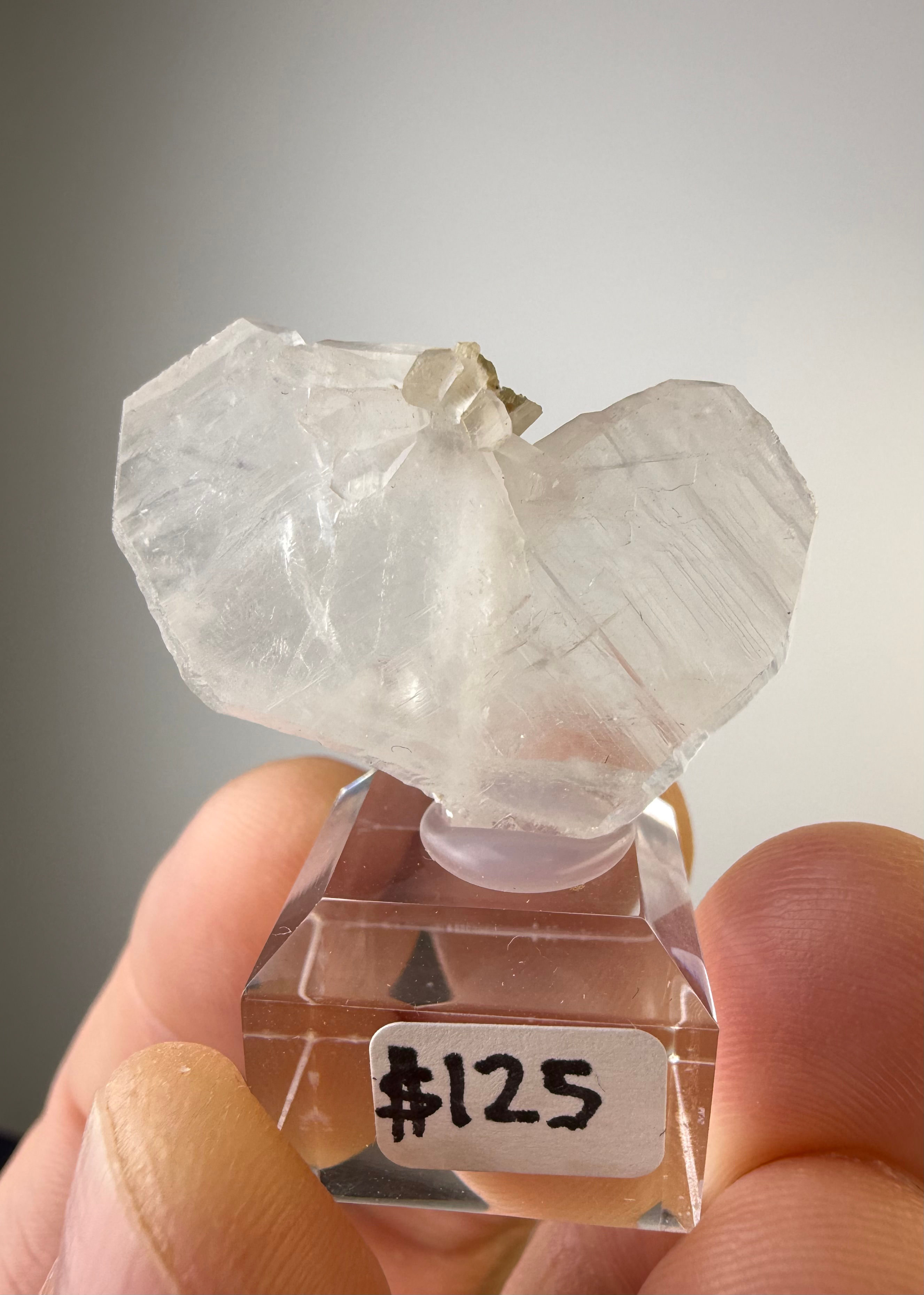Brazilian Japan Law Twin Quartz