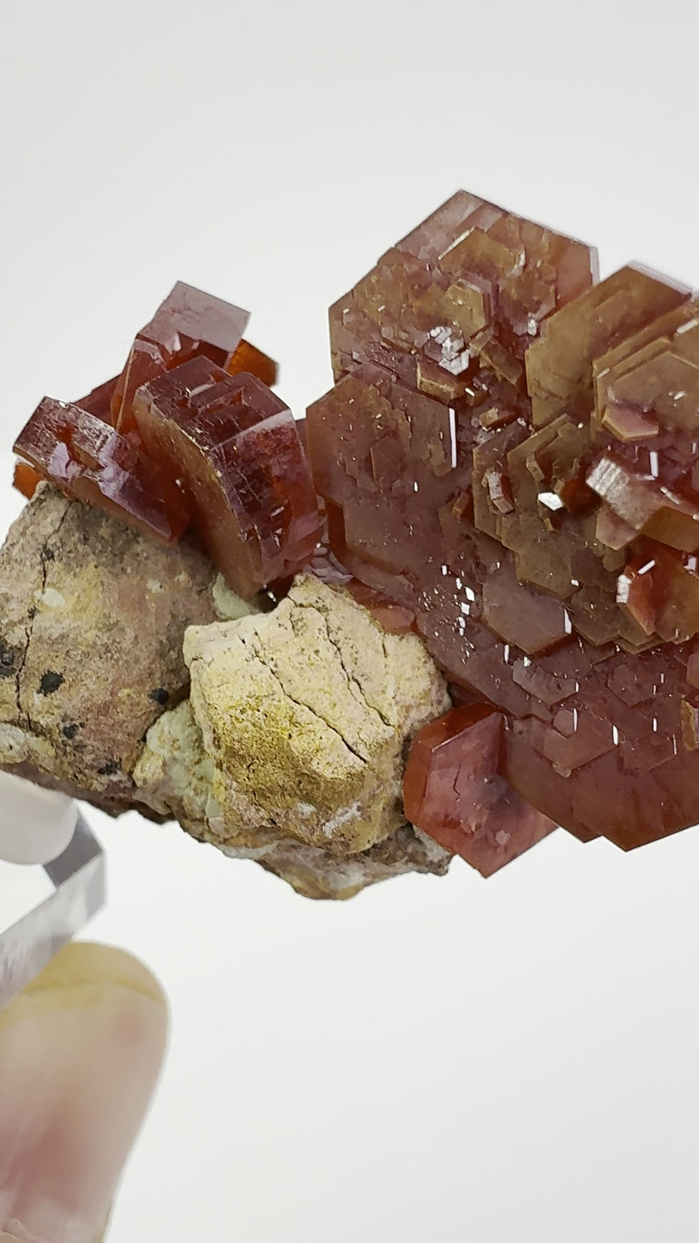 Thumbnail: Vanadinite- Mibladen Morocco