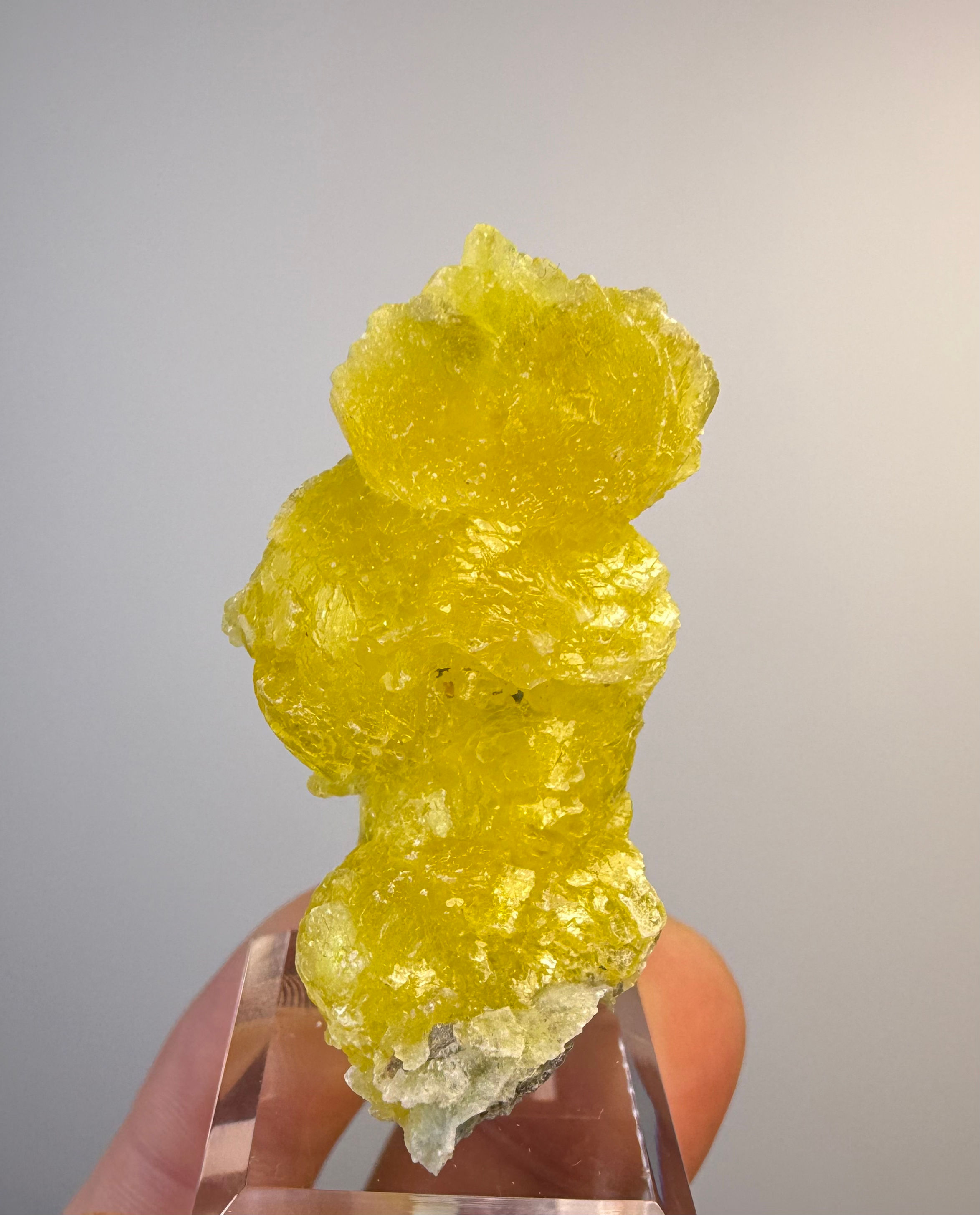 Brucite