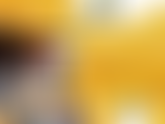 Entrevista Trans Notícias