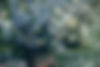 xiaoyu-li-zRFK1F4OWAE-unsplash_edited.jpg