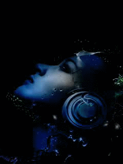 gif 4.gif