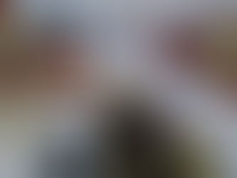 Дмитро Яворницький – дослідник історії українського козацтва