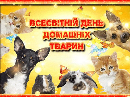 Всесвітній день домашніх тварин