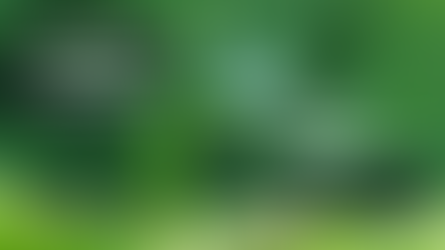 Всесвітній день охорони навколишнього середовища