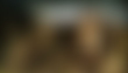 PARABOLA DE LA LAMPARA