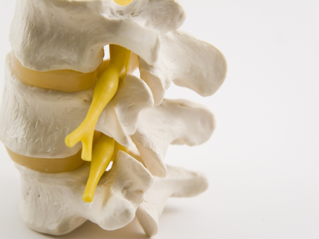 Harvard Study Reveals: Why Your Mindset Matters in Low Back Pain Relief - Lombard Chiropractor Dr. Oowais Siddique at Accurate Chiropractic Care