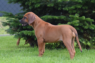 DSC_0068.JPG