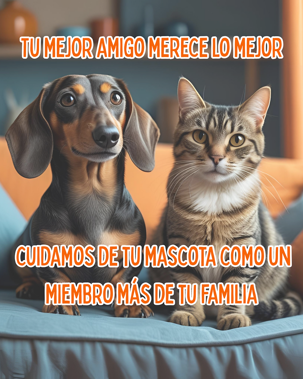 Tu mejor amigo merece lo mejor, cuidamos de tu mascota como un miembro más de tu familia (